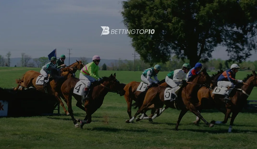 Horse Racing News Horse Racing News