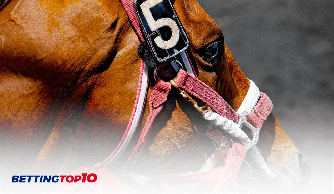 Horse Racing News Horse Racing News