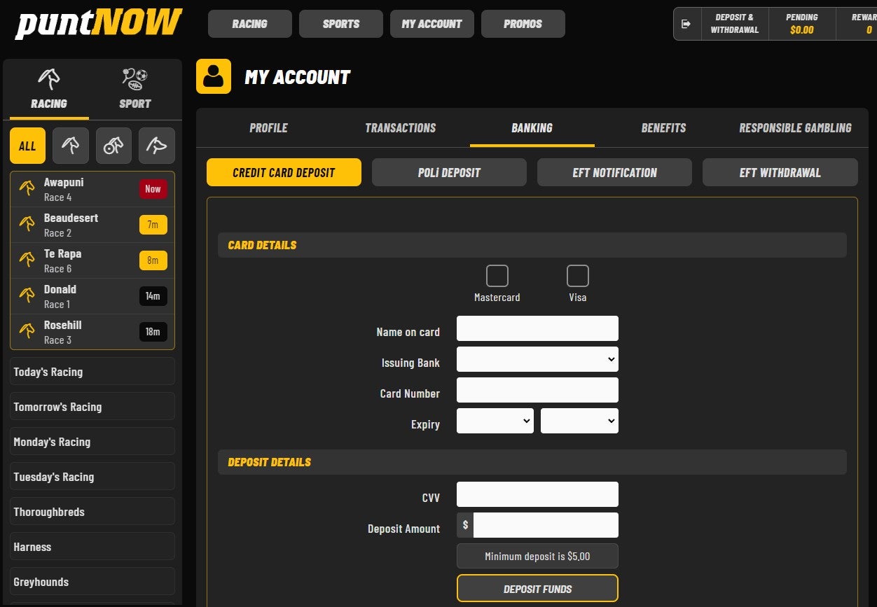 puntnow-payment-methods