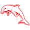 The Dolphins 