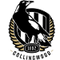 Collingwood Magpies AFL