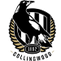 Collingwood Magpies AFL