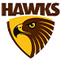 Hawthorn AFL