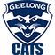 Geelong Cats AFL