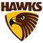 Hawthorn AFL