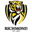 Richmond Tigers AFL