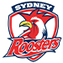 Sydney Roosters NRL