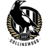 Collingwood Magpies AFL
