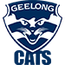 Geelong Cats AFL