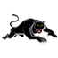 Penrith Panthers NRL