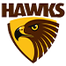 Hawthorn AFL