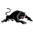 Penrith Panthers NRL