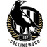 Collingwood Magpies AFL