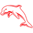 The Dolphins 