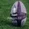 NRL Expert Predictions