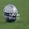 NRL Premiership Winner